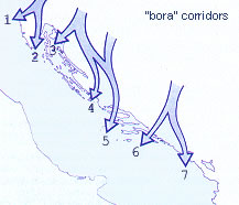 Directions of bura (bora) blowing (this illustration is provided by www.aci-club.hr)